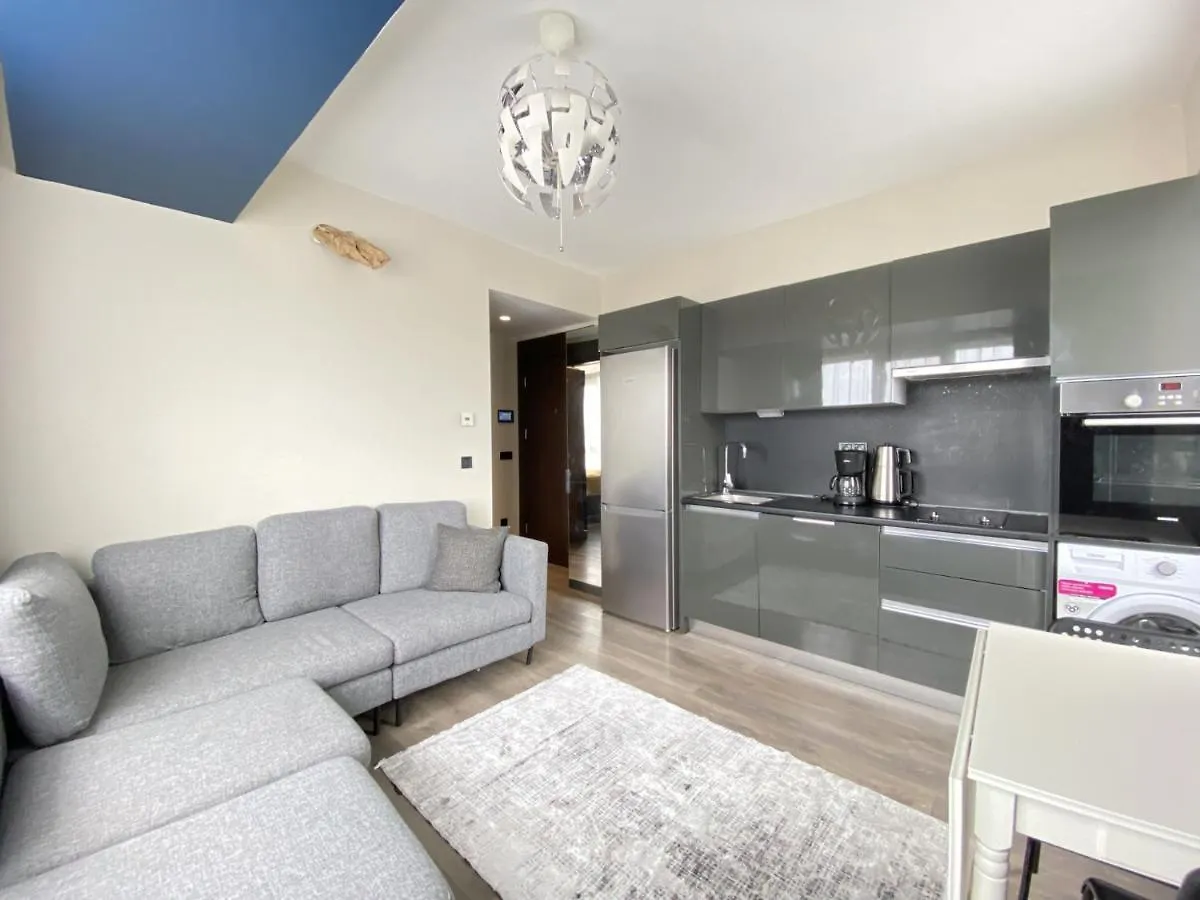 Contacten van Convenient Flat In Secured Residence In Kagithane