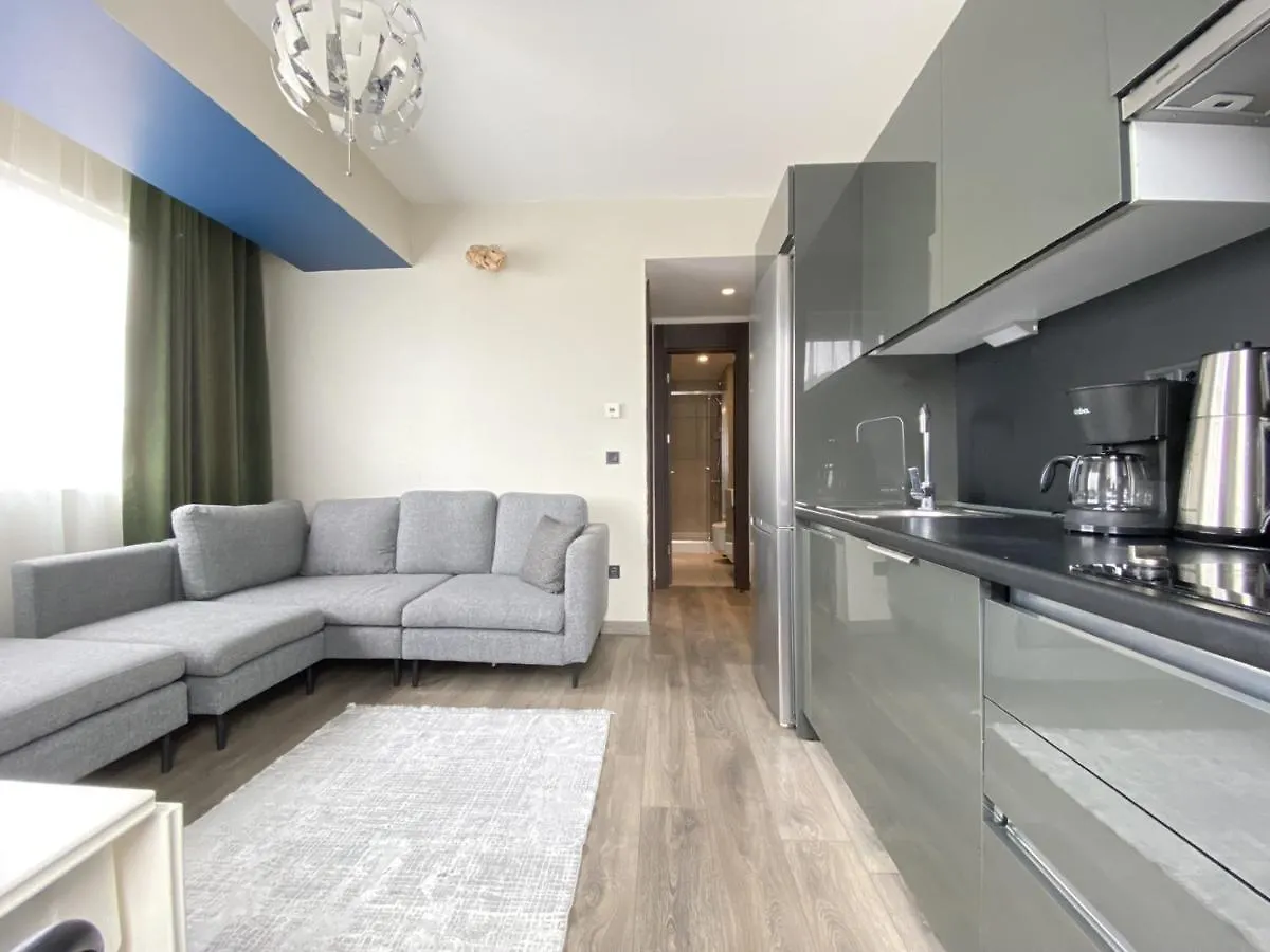 Convenient Flat In Secured Residence In Kagithane Istanboel